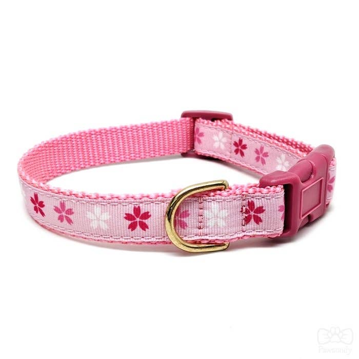 Pawsonify - Wholesale Pet Collar - Cat - Cherry Blossom Collar4