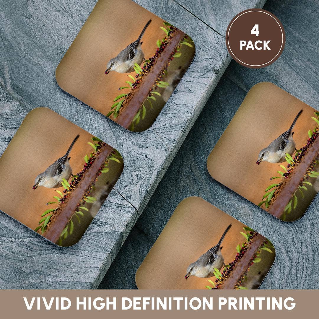 3dRose - Wholesale Coasters - 3dRose, Northern mockingbird, Mimus polyglottos feeding., Coaster12