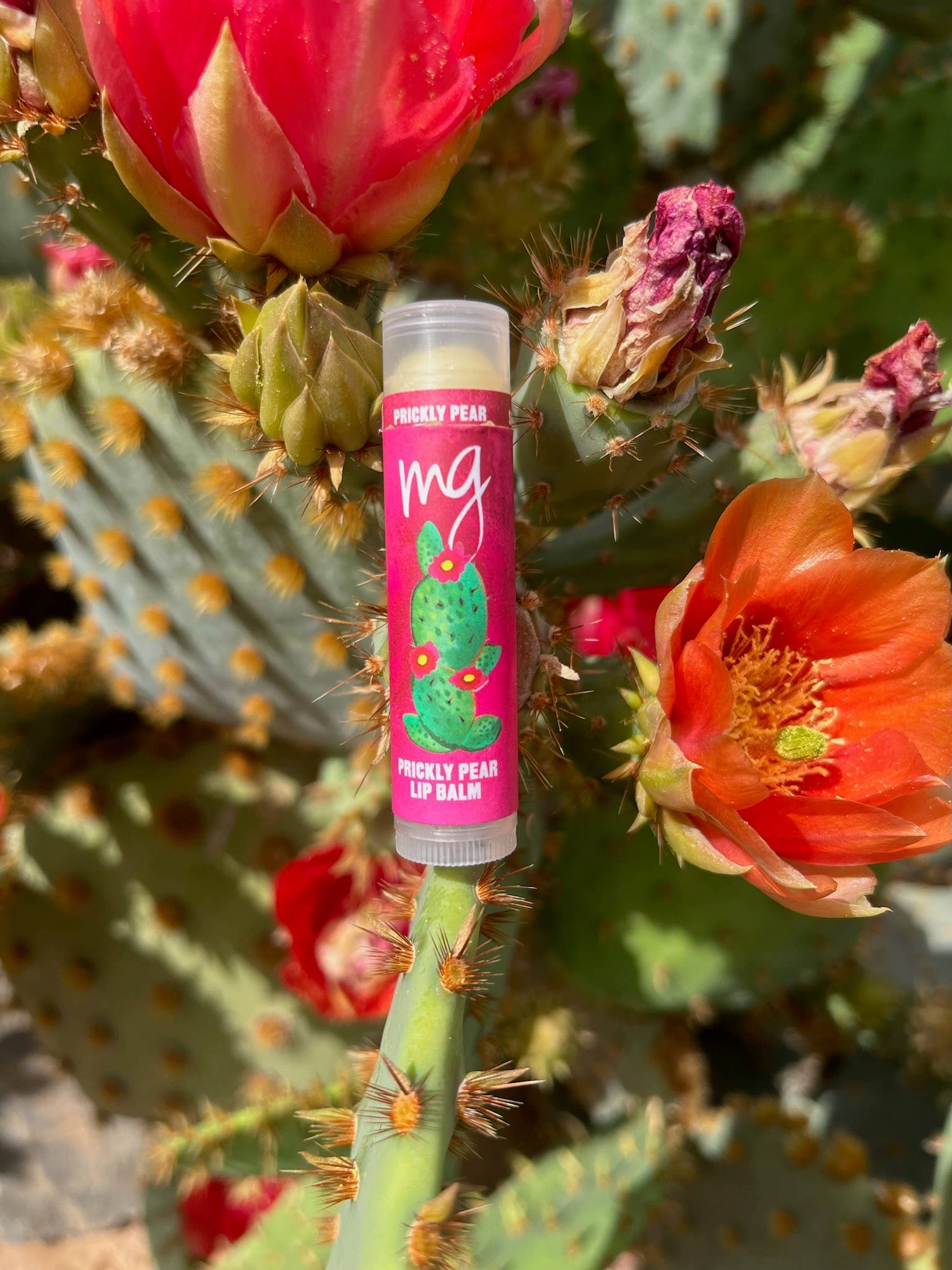 Mad Gab's - Wholesale Lip Balm - 48pc MG Prickly Pear SPF 15 Lip Balm Bin3
