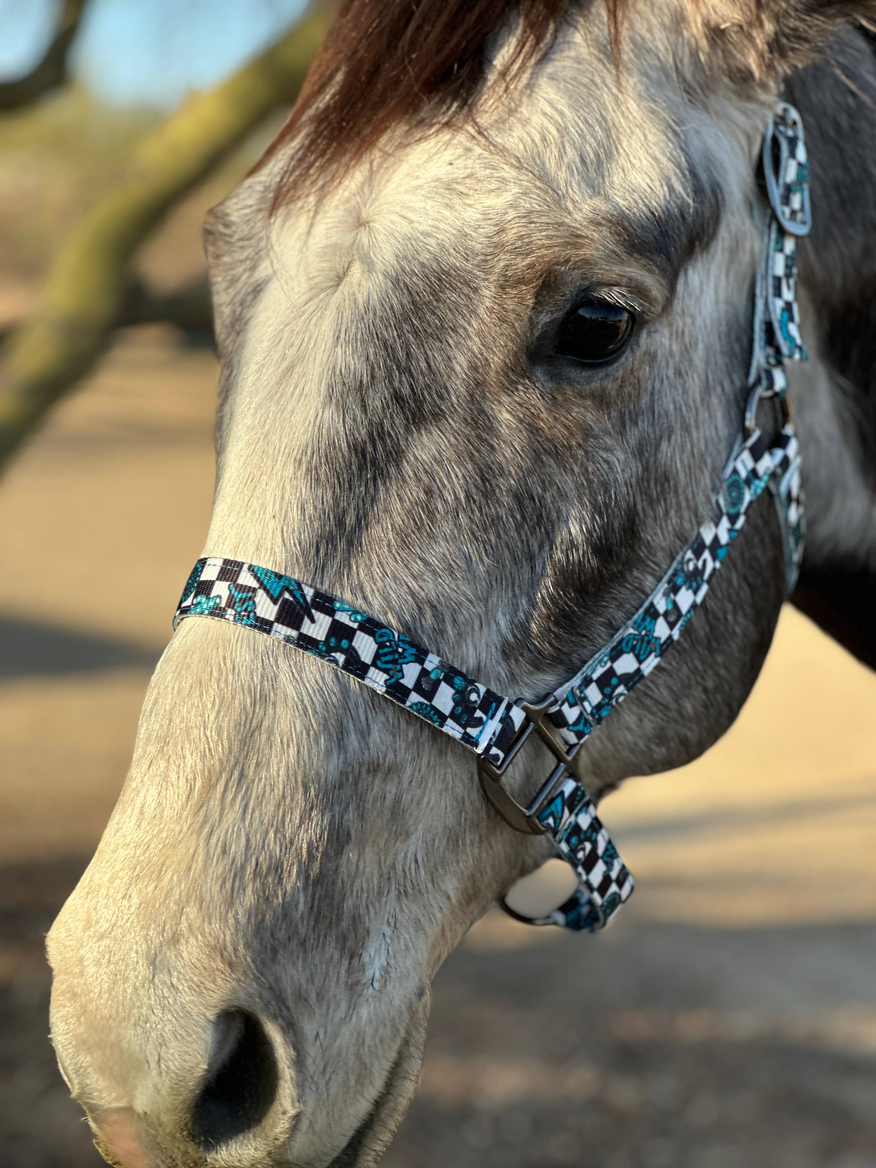 Schulz Equine - Wholesale Horseback Riding Gear - Nylon Halter - Horse Size24