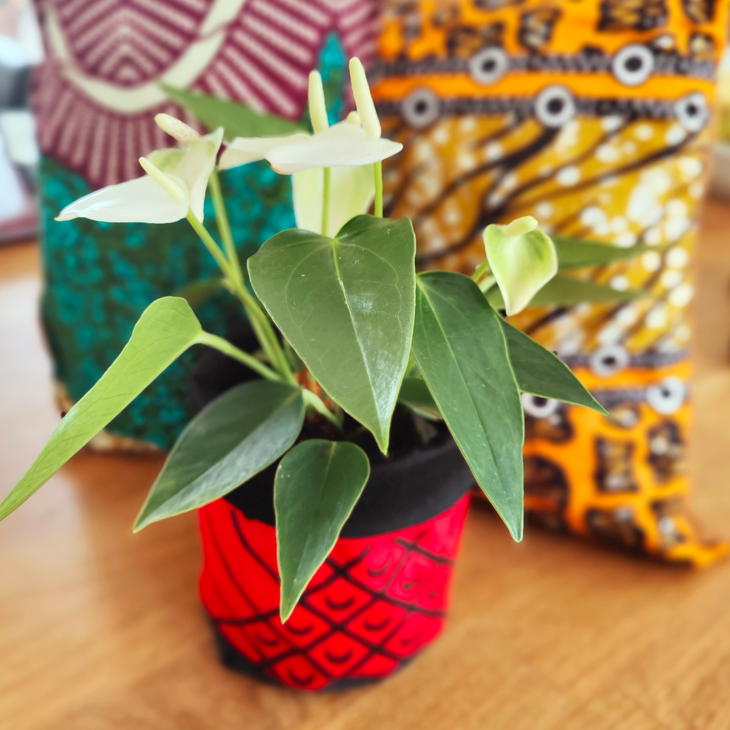 Namu Designs Retail & Wholesale - Wholesale Vase - Fabric vase/basket S1