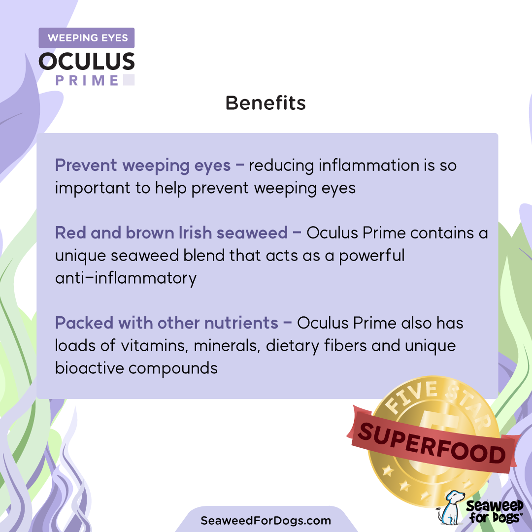Seaweed For Dogs – wholesale Pet supplement – Dog – Oculus Prime | Control Weeping Eyes Naturally2
