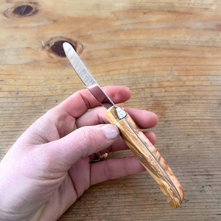 Clémentine Boutique - Wholesale Kitchen/Utility Knife - Laguiole ® Butter knife, Olive wood handle2