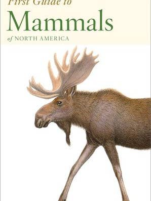 Peterson First Guide to Mammals of North America: Peter for wholesale by HarperCollins