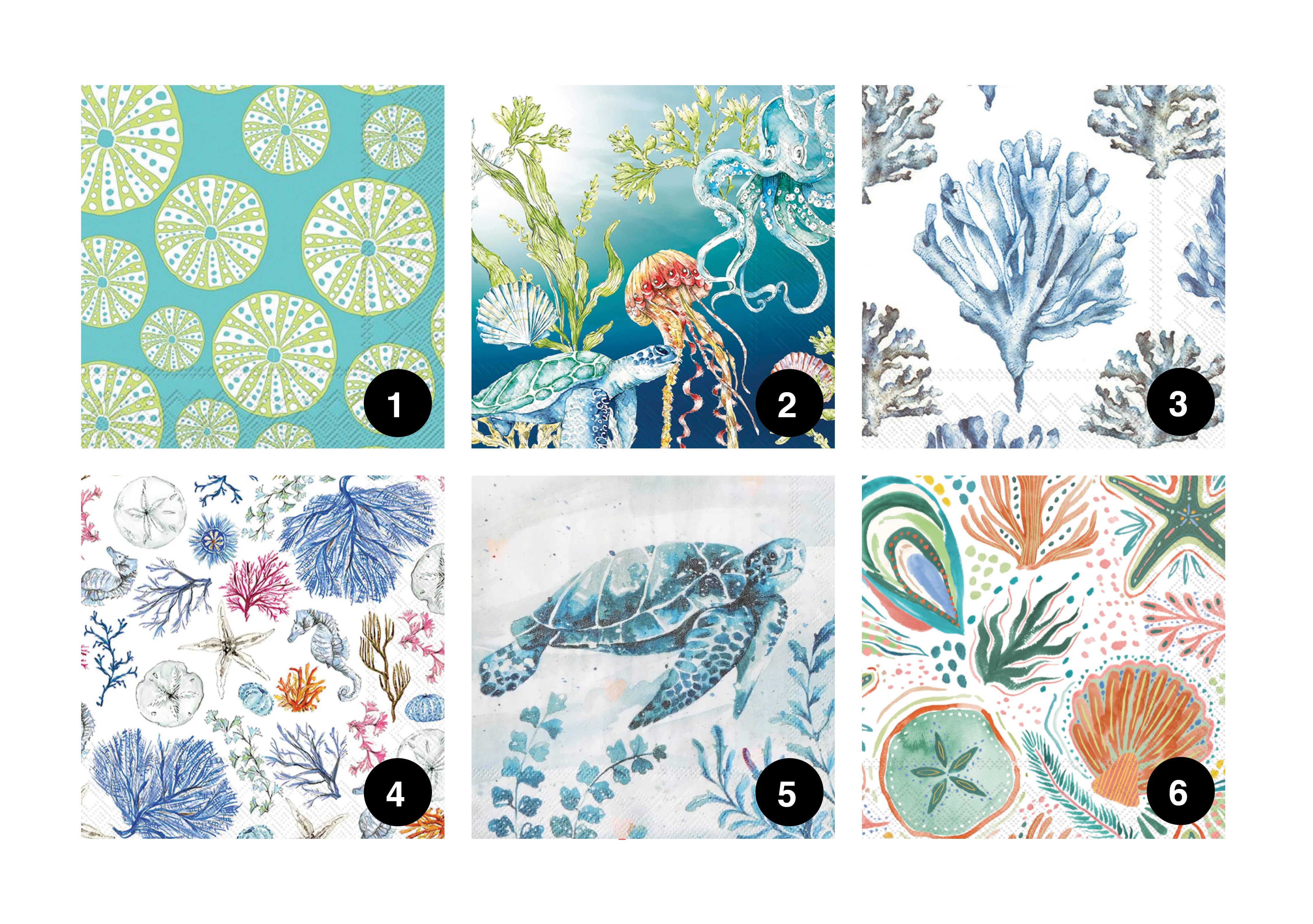 Adori Designs - Wholesale DIY Craft Kit - DIY Clam Shell Ocean Beach Mini Decoupage Kit3