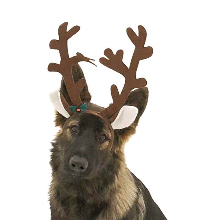 Midlee Designs - Wholesale Pet Costume - Dog - Midlee Brown Reindeer Dog Antlers Headband