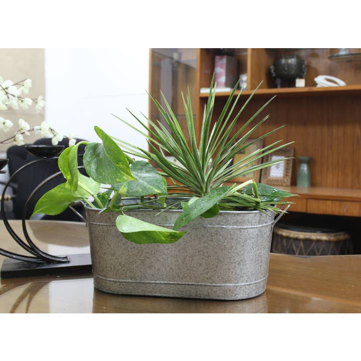 Hosley - Wholesale Plant Pot - Hosley® 18in L Oval Planter