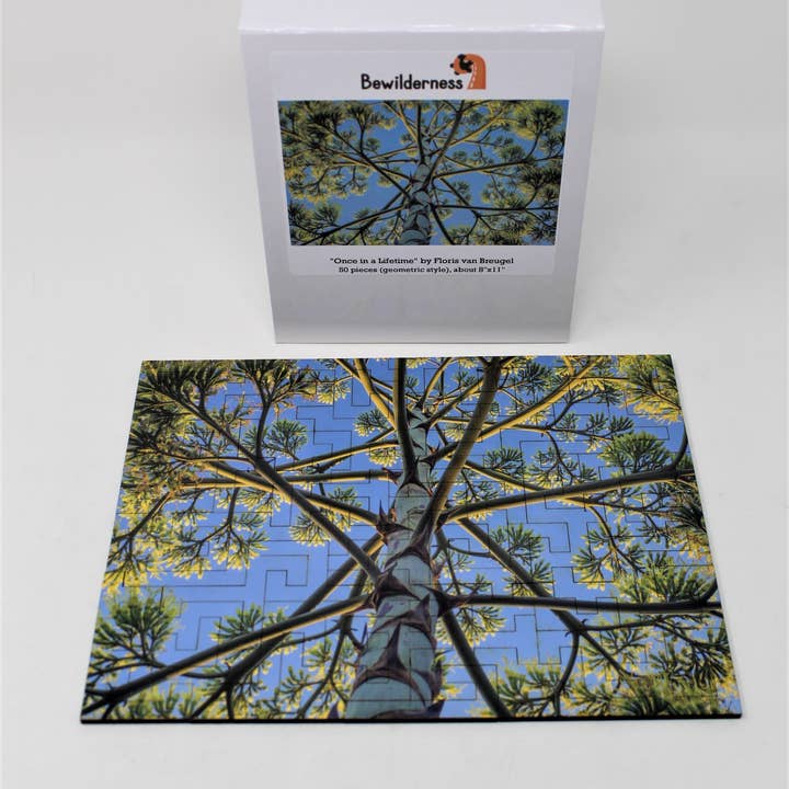 En gang i livet puslespil - 50 stykker for engroshandel hos Bewilderness