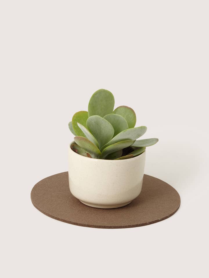 Merino Wool 10" Round Trivet - Cumin for wholesale by Graf Lantz