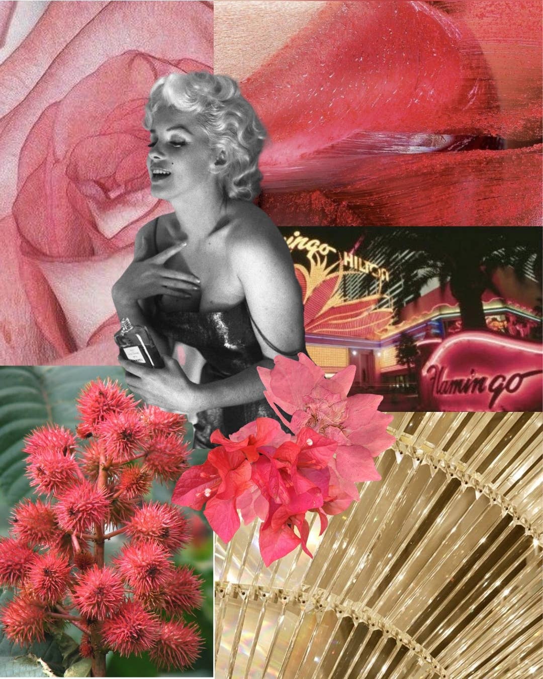 ROWSIE VAIN - Wholesale Roll-On Fragrance - SHOWGIRL PERFUME OIL ROLLER WAND (10ml) 4