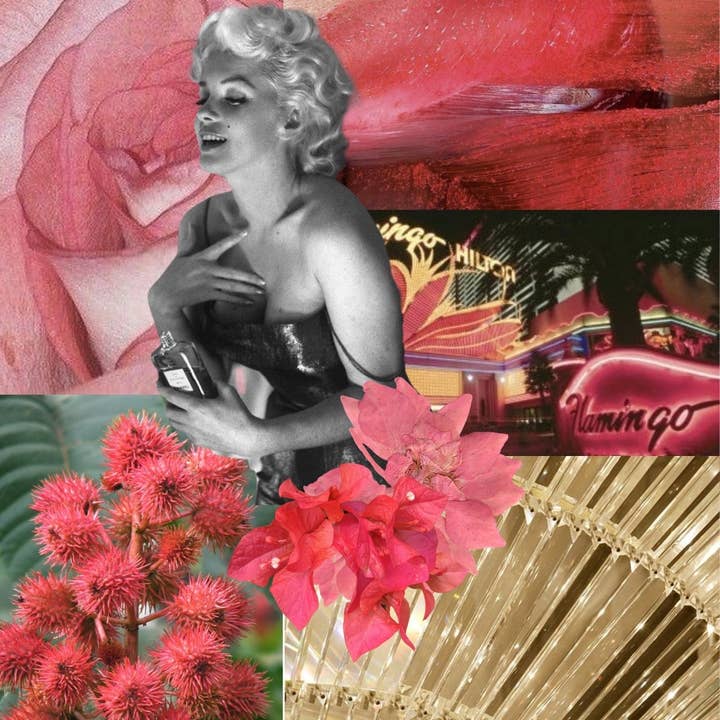 ROWSIE VAIN - Wholesale Roll-On Fragrance - SHOWGIRL PERFUME OIL ROLLER WAND (10ml) 4