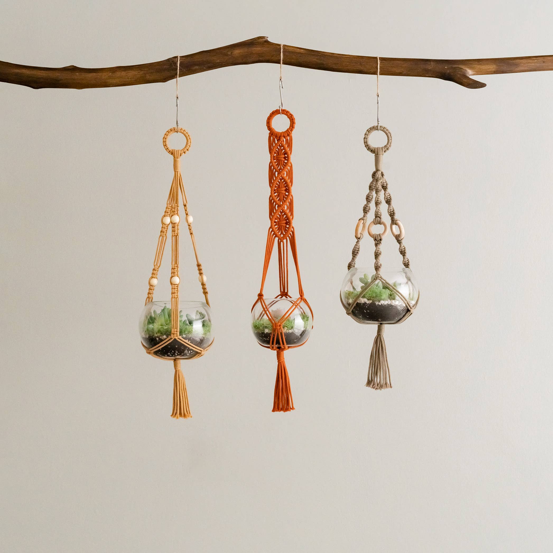 BeanDaikon - Venta al por mayor Macetas colgantes - Colgador para plantas de terrario I688