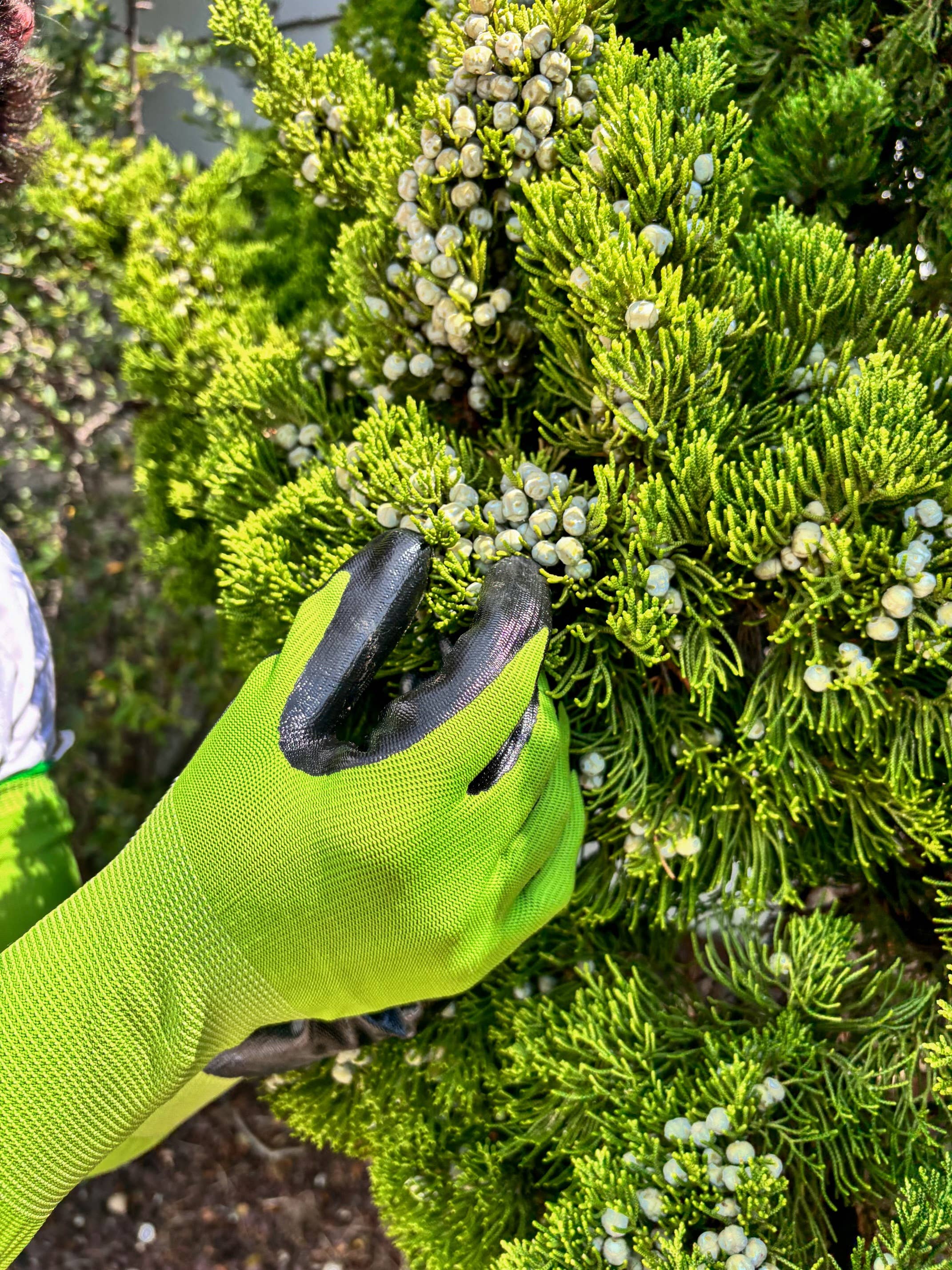 CharGuy Gear – Großhandel Gartenhandschuhe – Langarm-Arbeitshandschuhe für den Garten, Schutzhüllen7