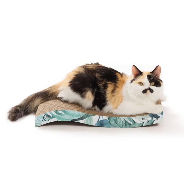 Ripple Reversible Scratcher (Go Green) for wholesale by MOON-X USA, INC.