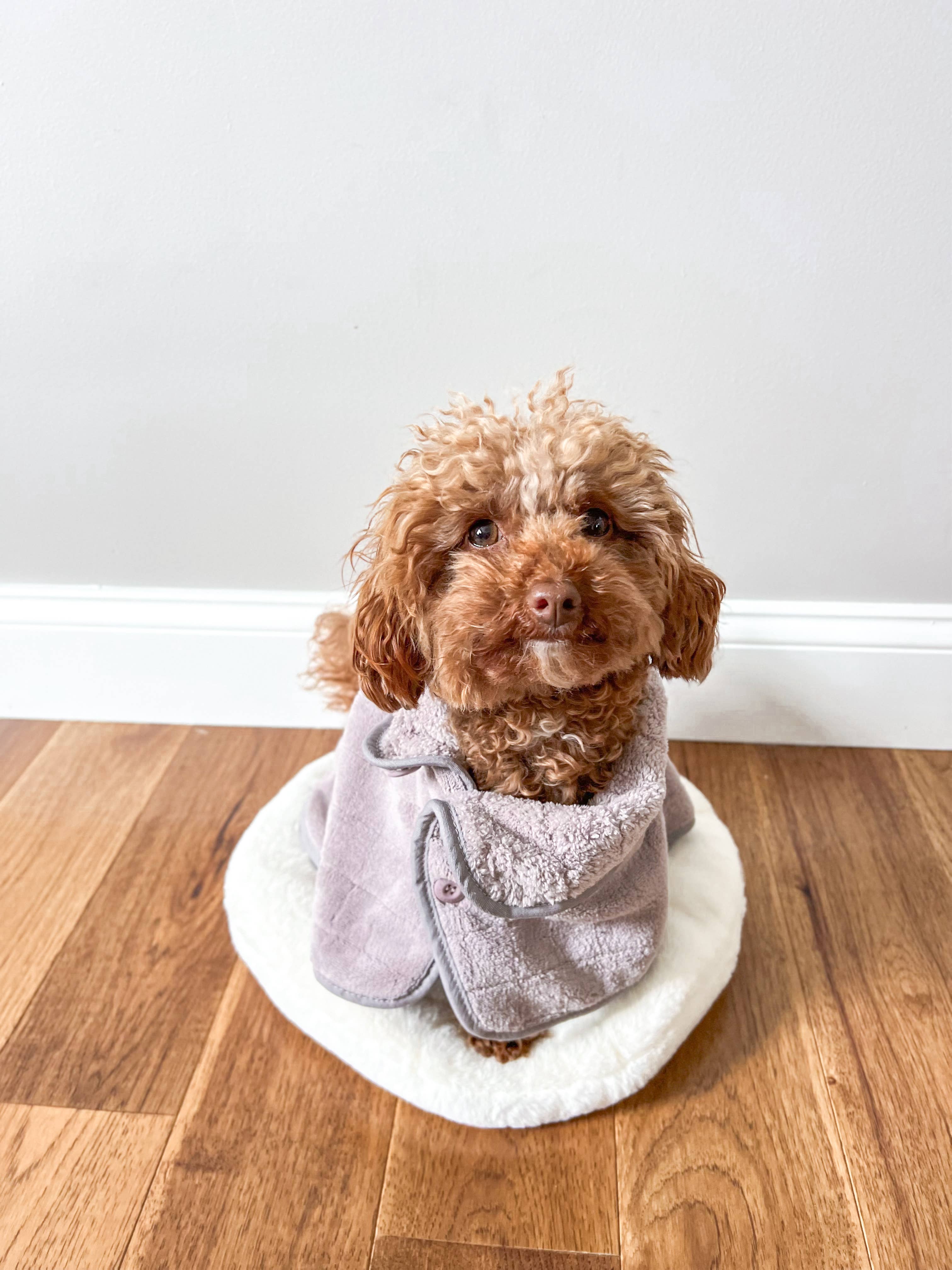 plum Baby Fleece Bathrobe//DOG CLOTHING//APPAREL for wholesale on Faire4