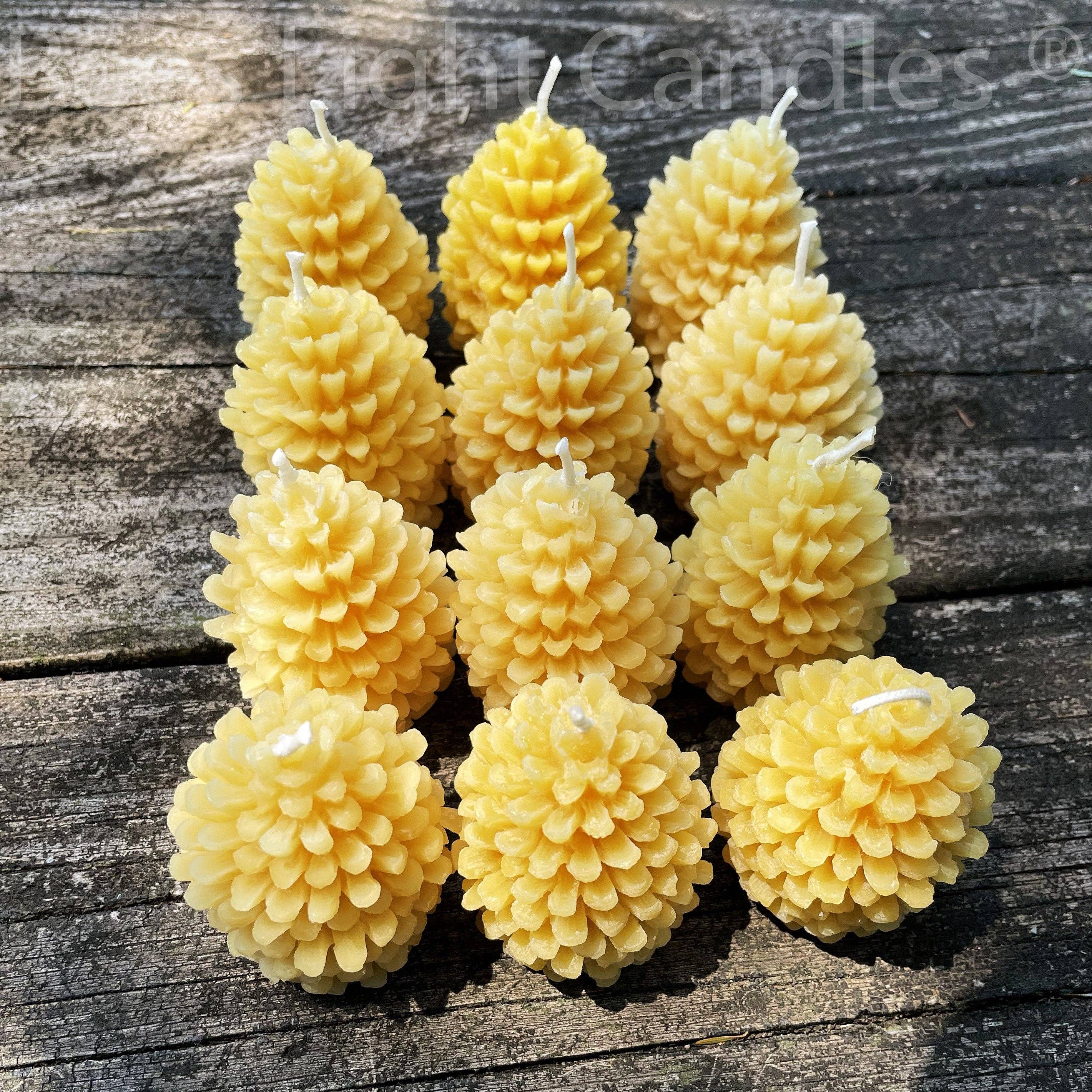 Bees Light Candles - Wholesale Novelty Candle - One Dozen Pinecone Beeswax Candles2