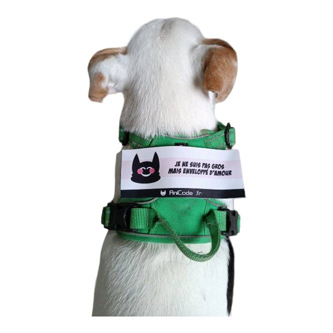 AniCode - Vendita all'ingrosso Ciondolo per collare per animali - Cani - Scratch AniFun di AniCode® - Cane Pazzo1