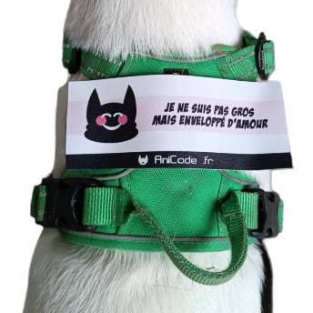 Scratch AniFun by Anicode® Chase Buddy for wholesale by AniCode