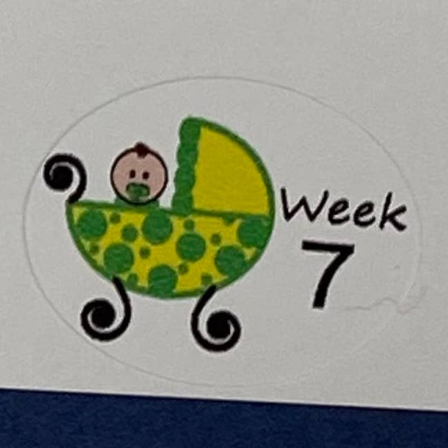 Pegatinas Cuenta regresiva niña para venta al por mayor de The Polka Dot Box