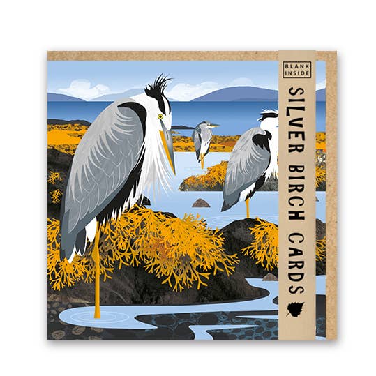 Silver Birch Cards – wholesale Everyday greeting card – Blank Greeting Card ''Herons in the Hebrides"2