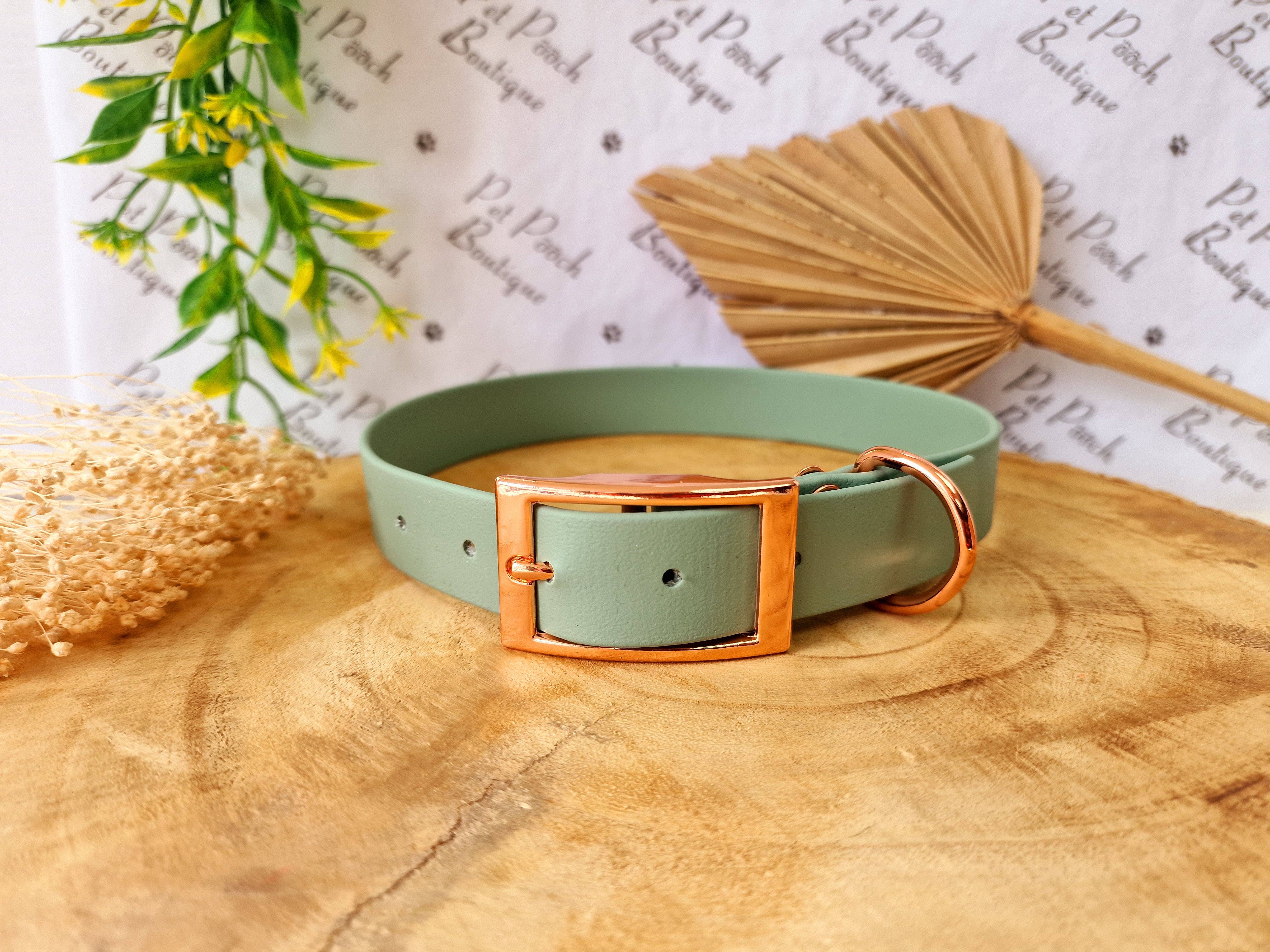 Pet Pooch Boutique - Vente Collier – chien - Collier pour chien en Biothane vert sauge - Accessoires en métal - Fait main1