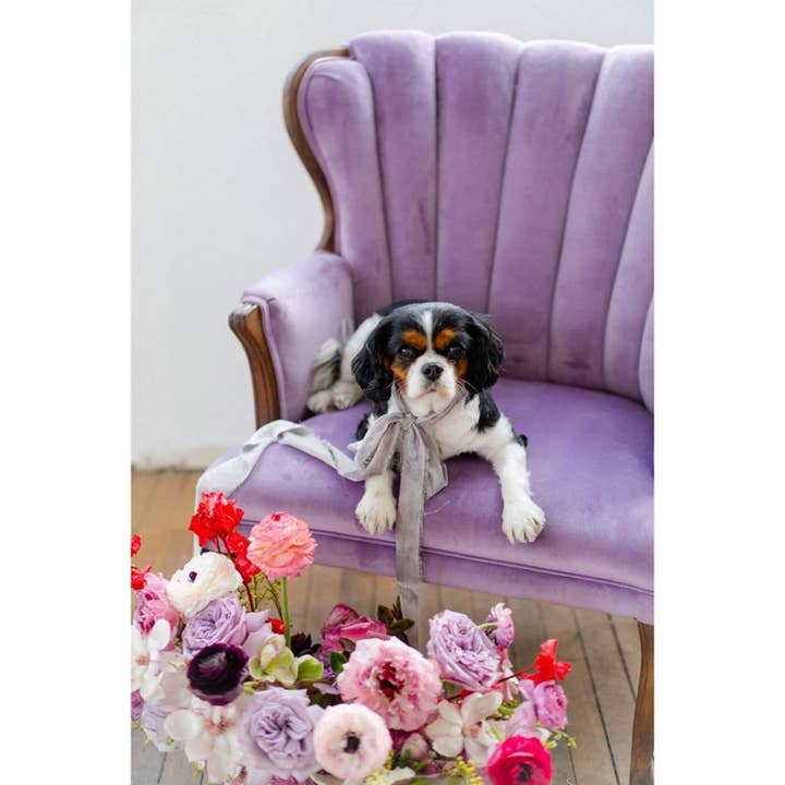 Amore Society - Wholesale Ribbon - Gift Wrapping - Silk Ribbon5