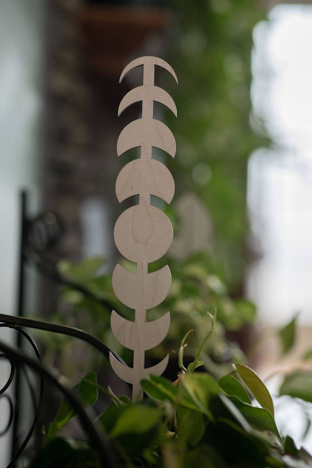 PlantsNsht – wholesale Spaljé – Månen Fas Växt Spaljé1