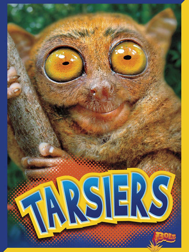 Créatures curieuses : Tarsiers pour la vente par Black Rabbit Books