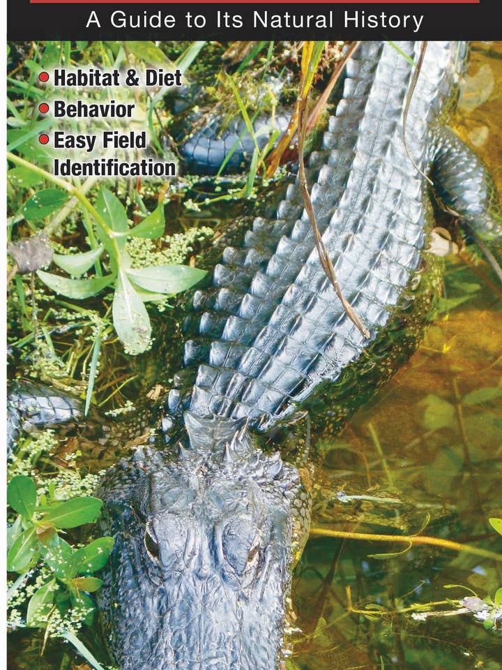 American Alligator of the Southern United States for wholesale by Quick Reference Publishing, Inc