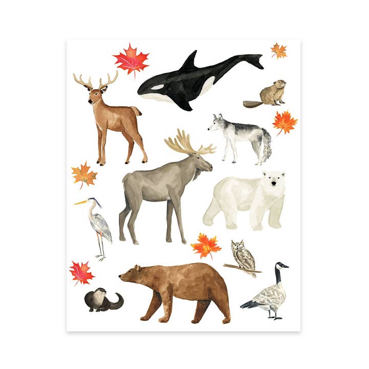 Animals of Canada Art Print for wholesale by Almeida Illustrations
