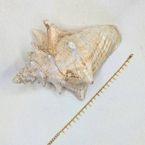 L'Arbre du Voyageur Bijoux – Pulseira de elo e corrente por atacado – PULSEIRA DE ASSUNÇÃO3