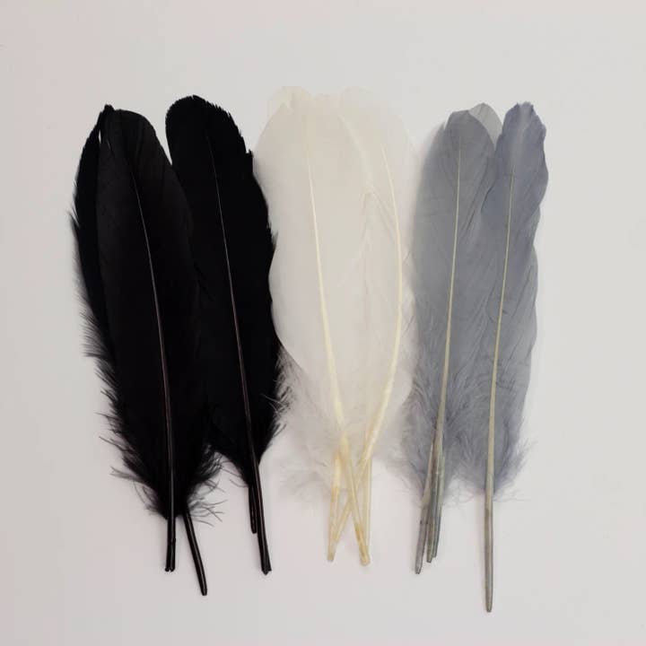 Zucker Feather Products – wholesale Craft supplies – Goose Feathers 7-8" - 12 pcs - Black and White1