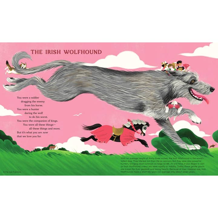 HarperCollins - Wholesale Pet Book - Best in Show : David Elliott4