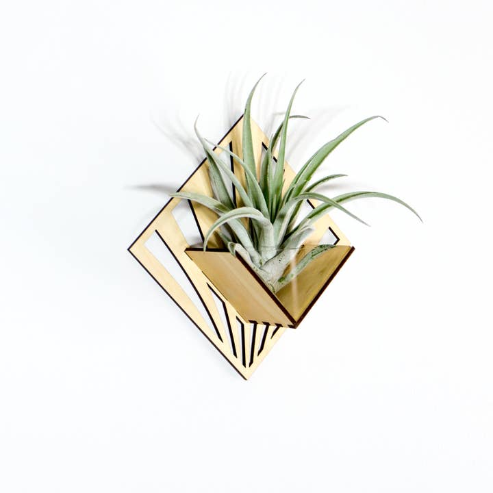 LIGHT RAZOR DESIGN STUDIO - Wholesale Wall planter - Air Plant Holder / Quadrate Wall Hanging Planter 2115