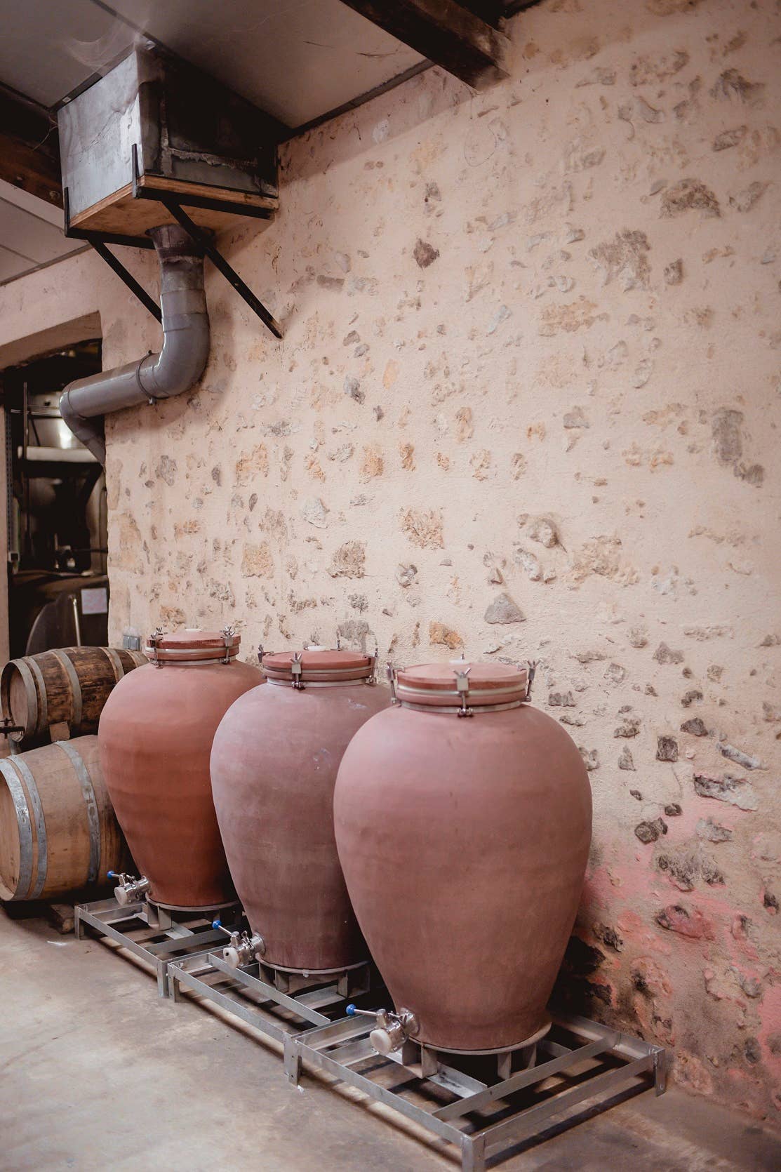 Château de Cranne – wholesale White wine – Grand Dry White Wine Muscaris Organic Amphora "CRANNE Héol" 245