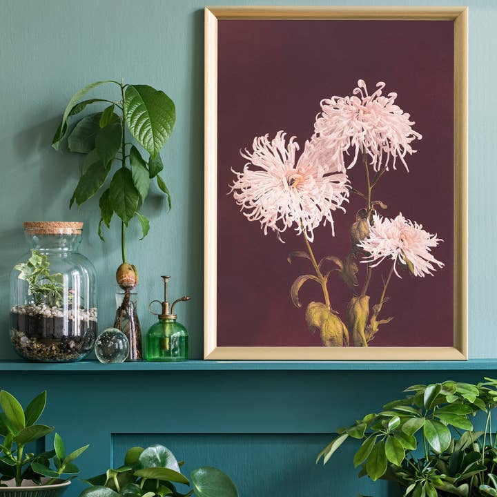 Ink & Drop – wholesale Art print – Chrysanthemum Ogawa Kazumasa Flowers Print1