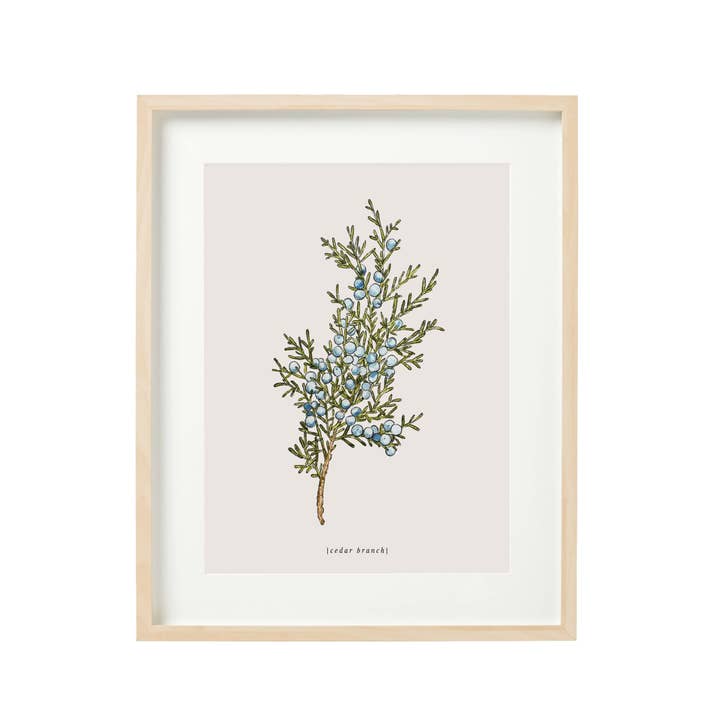 Cedar Branch Art Print for wholesale by Common Silver
