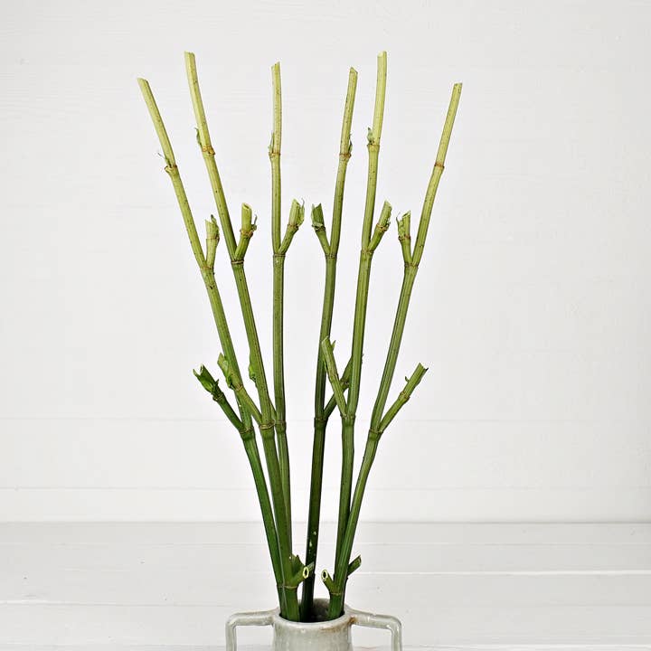 Impressive Enterprises, Inc. - Wholesale Artificial Flowers - IT501GR- 44" Faux Bamboo Stick