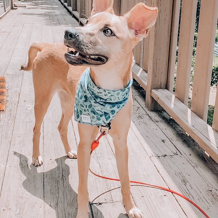 Green Camper Dog Bandana | Sage Minimal Camp Outdoor Pet Scarf for wholesale on Faire2