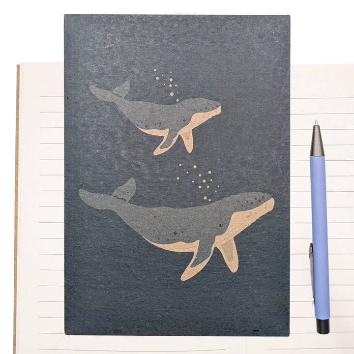 Tilly Scribbles - Wholesale Notebook - Humpback Whales Notebook