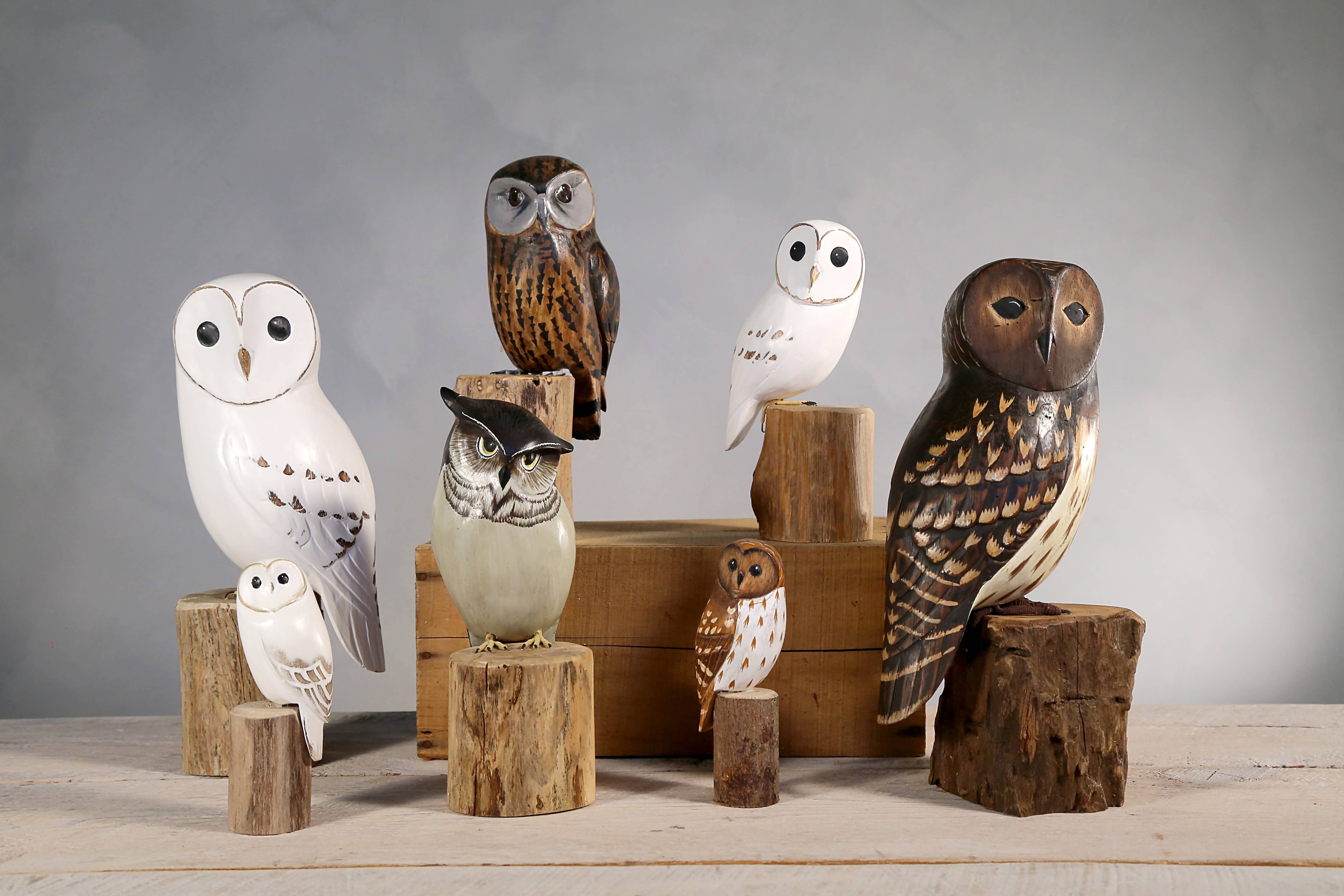 Aviologie - Wholesale Decorative Figurine - Owl - Barn - 13"H - Hand Carved Ornament3