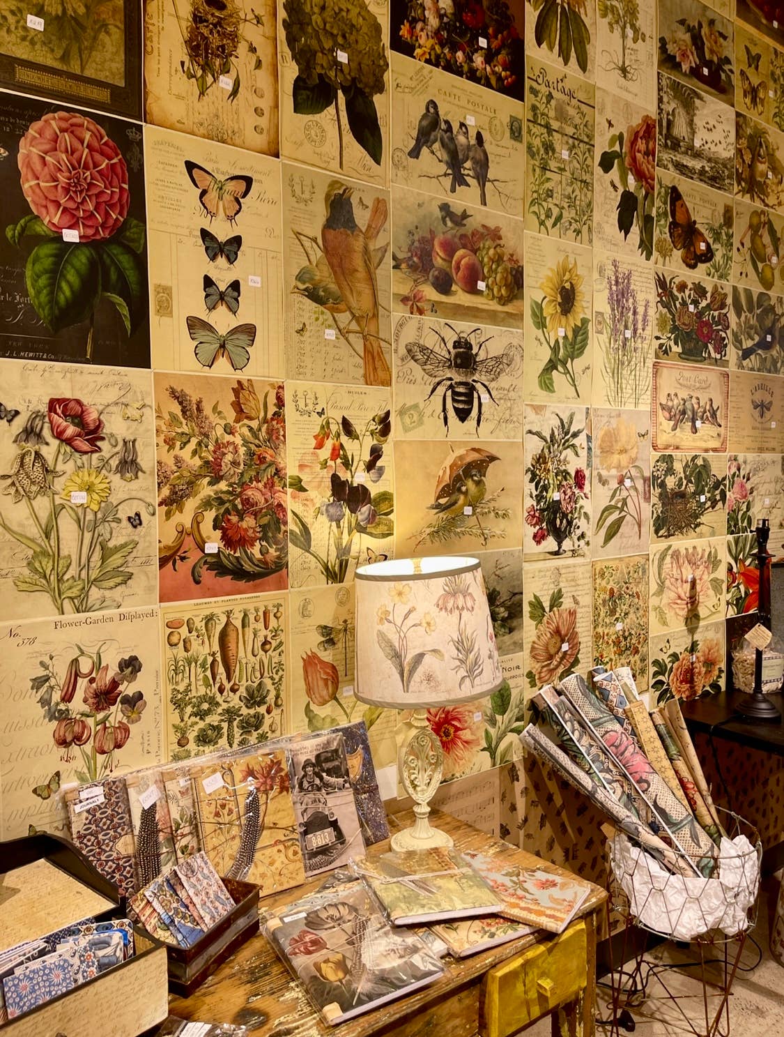 Monahan Papers - Venta al por mayor Sobre de papel de regalo - Colección surtida de 50 hojas de aves, nidos y flores de 28 x 43 cm2