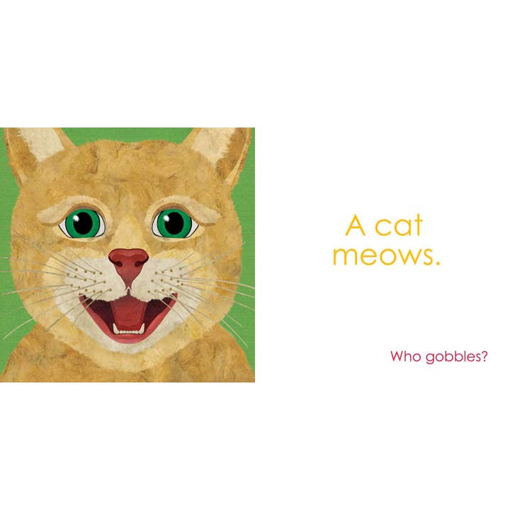 Simon & Schuster - Wholesale Book - Kids - Who Meows? by Robin Page