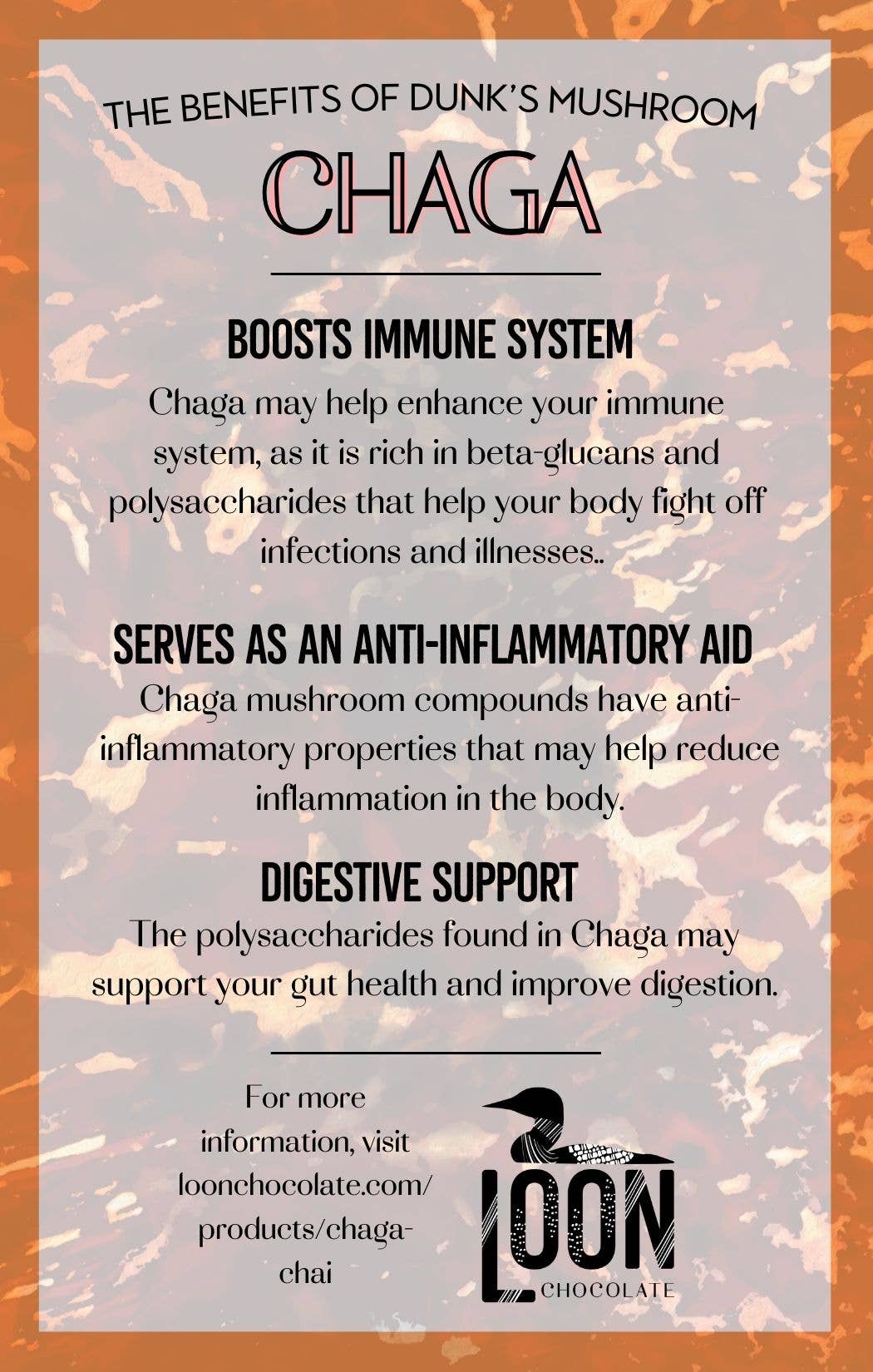 Loon Chocolate - Wholesale Chocolate Bar - Chaga Chai Dark Chocolate4