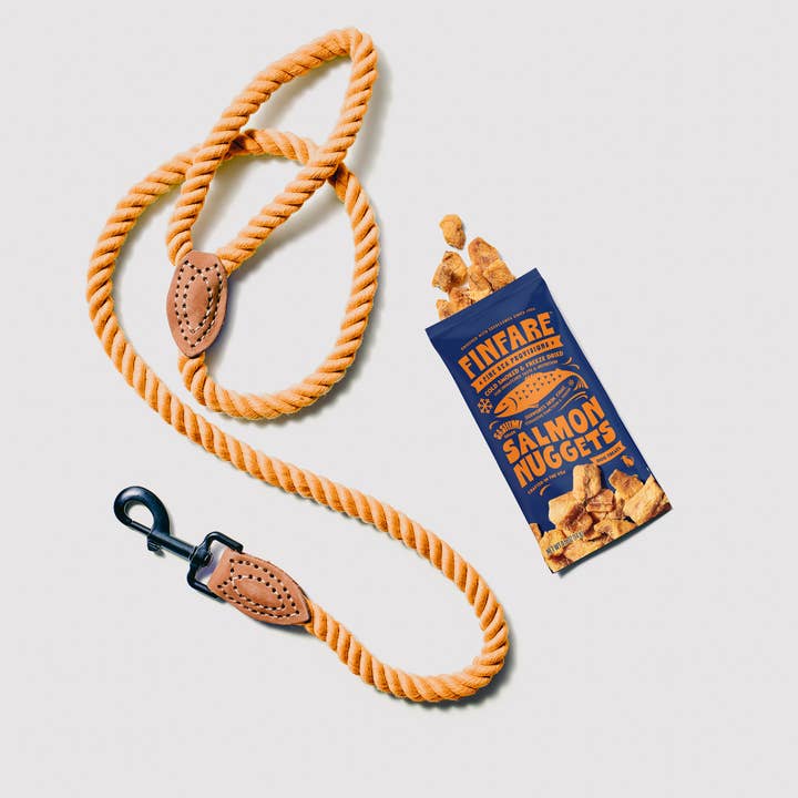 Finfare Pet Foods - Wholesale Pet Treats - Dog - On-the-Go Freeze-Dried Salmon Nuggets - Dogs, 14, 0.5oz Pks3