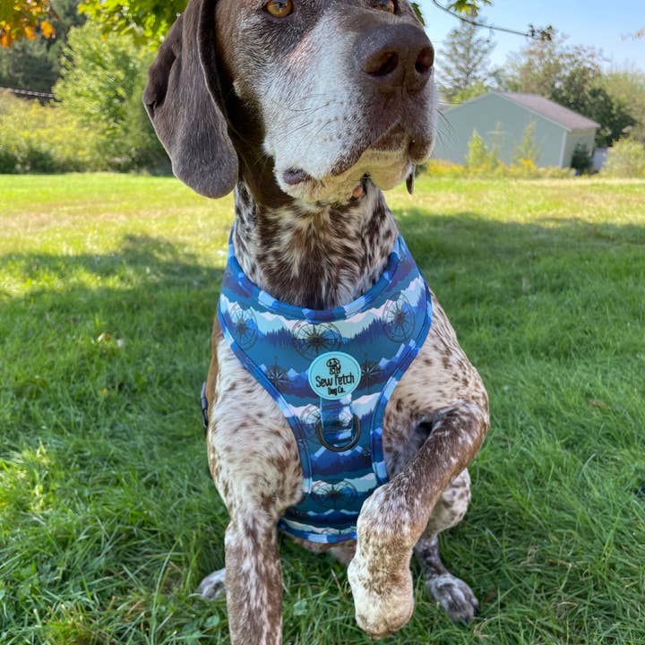 Sew Fetch Dog Co - Wholesale Pet Harness - Dog - Compass Rose Reversible Neoprene Harness, Leashes, Poo bag