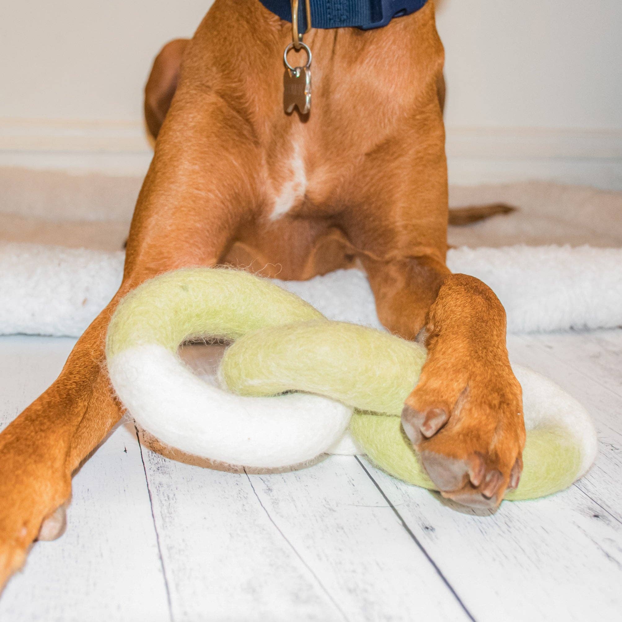 Awoo - Vendita all'ingrosso Giocattolo da masticare - Cani - Gioco a catena in feltro5