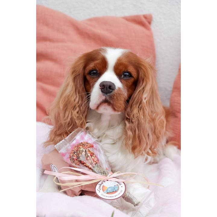 Belpharmed bv: Cooka's Cookies & Sensidog - Wholesale Pet Treats - Dog - Lollipop - Valentine's Day Edition4