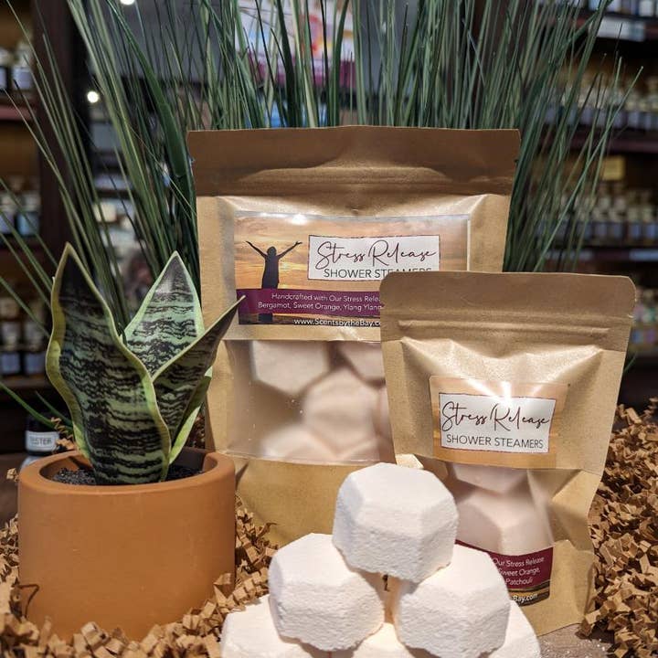 Scents by the Bay - Wholesale Shower Steamer/Bomb - Shower Steamer 6 Packs4