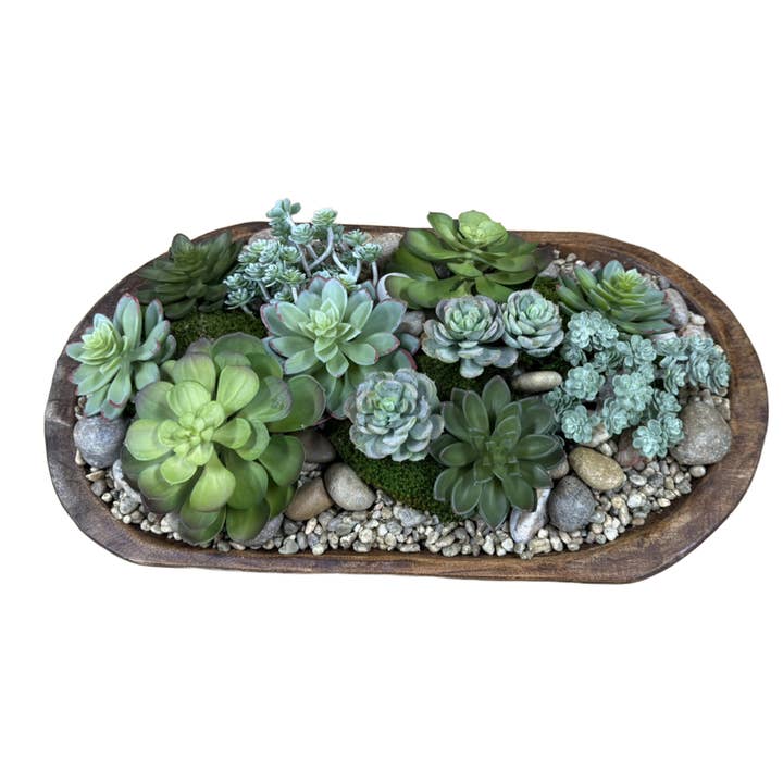 DOUGH BOWL OVAL SUCCULENTS for wholesale by The Ivy Guild